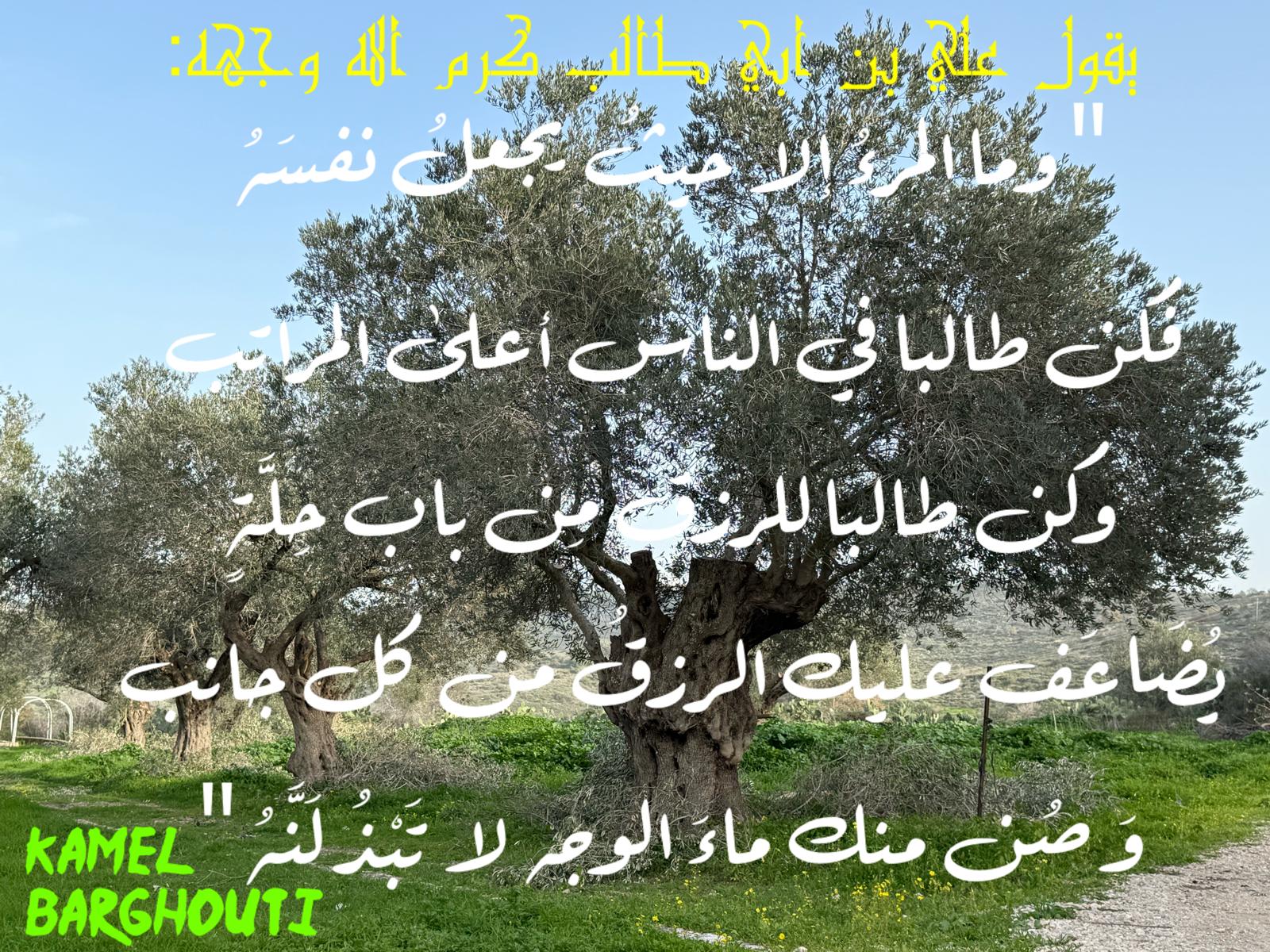 العزيمة والإصرار والثقة بالنفس – اقتباس 276