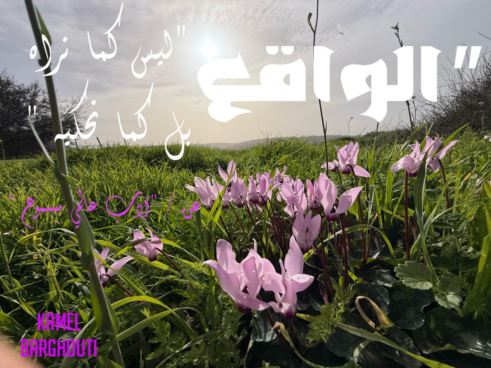 حكمة – اقتباس 248