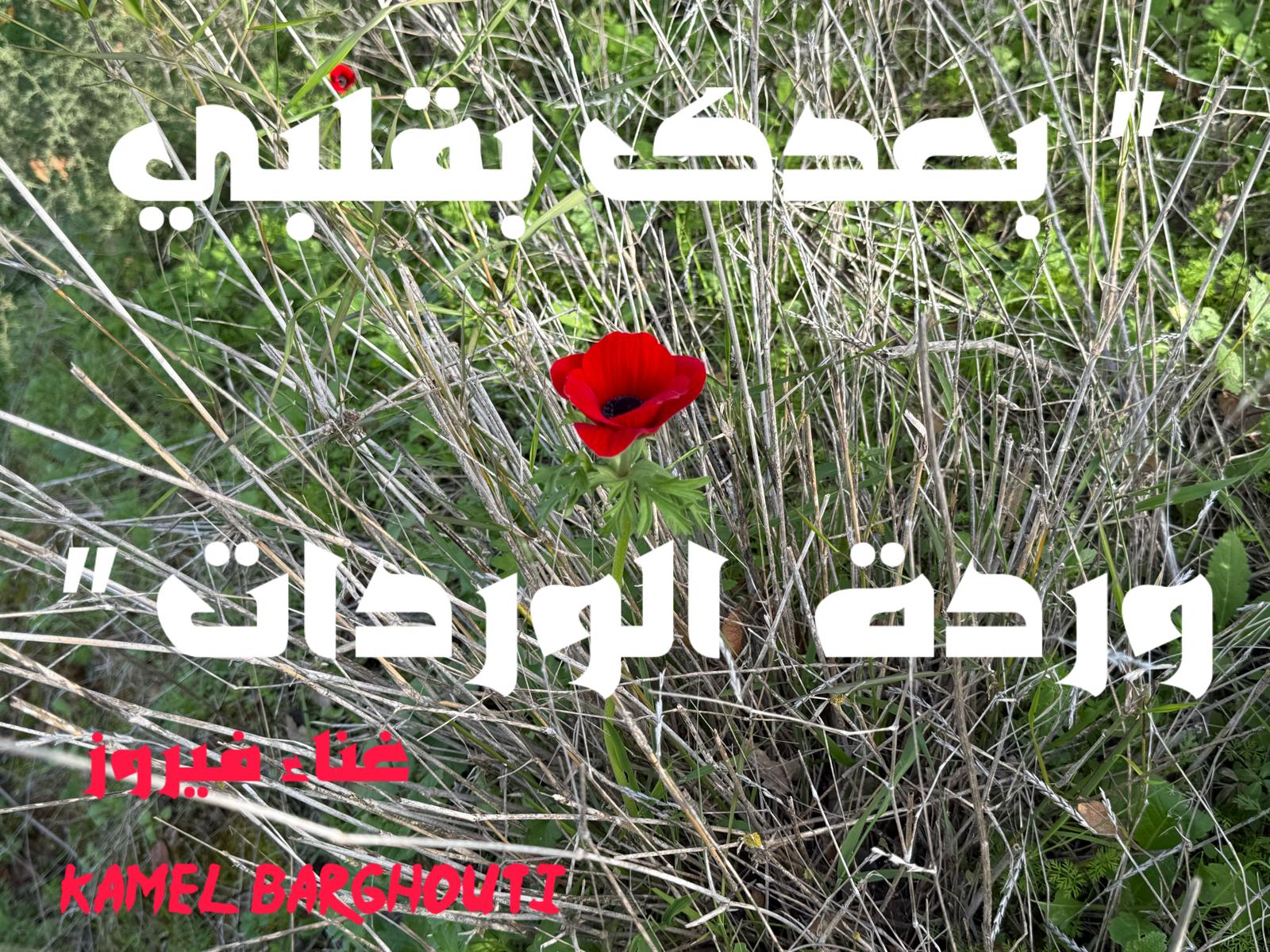 حب وحنين – اقتباس 509
