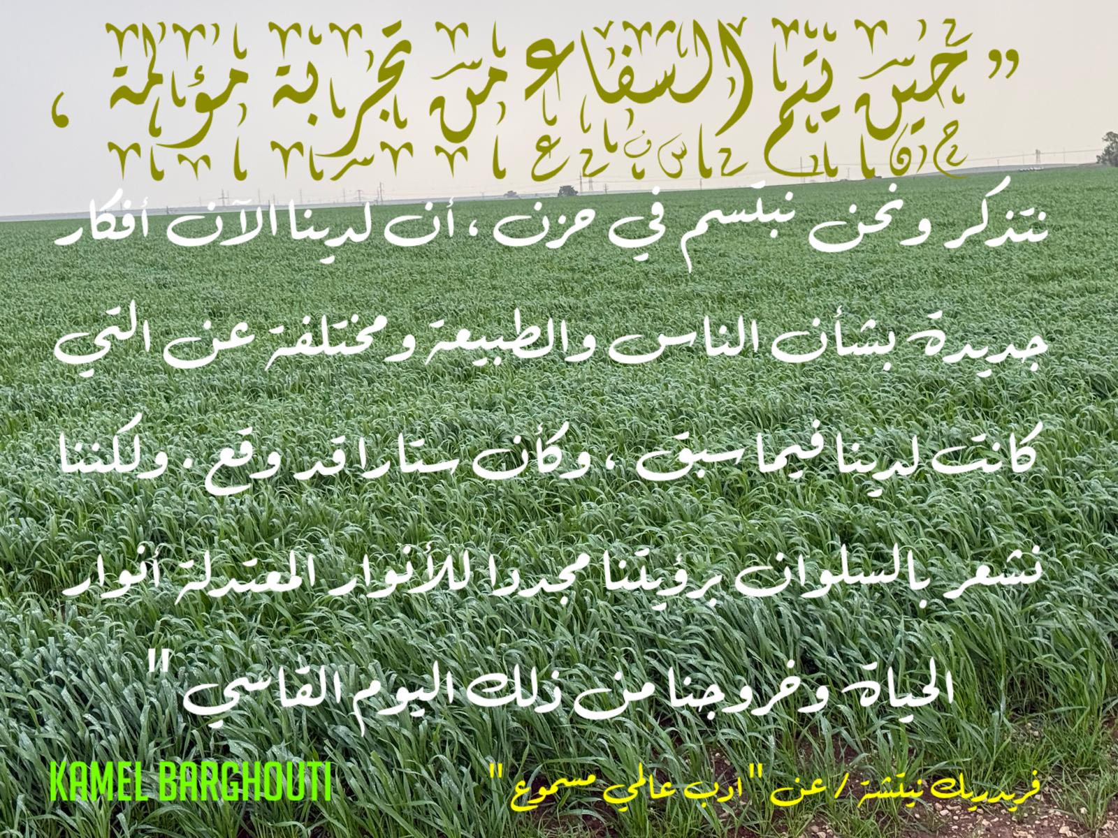 كلام جميل – اقتباس 522