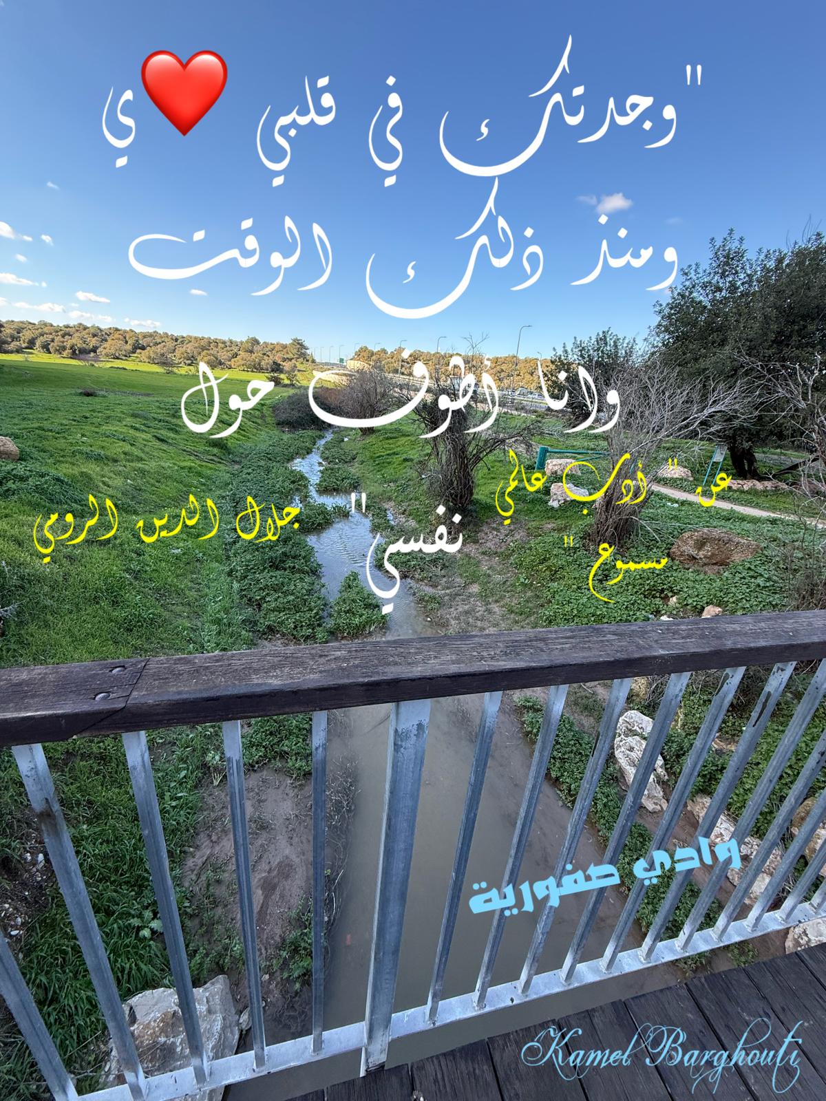 حب وحنين – اقتباس 505