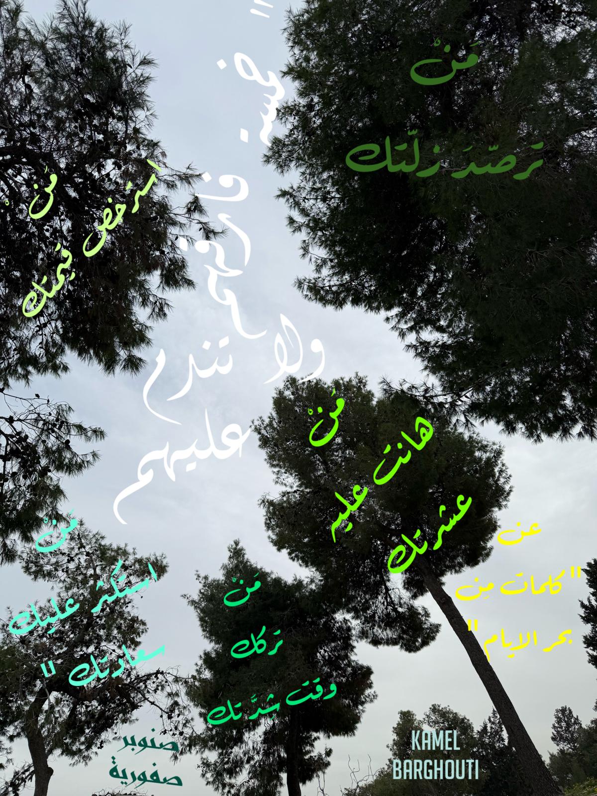 حكمة – اقتباس 232
