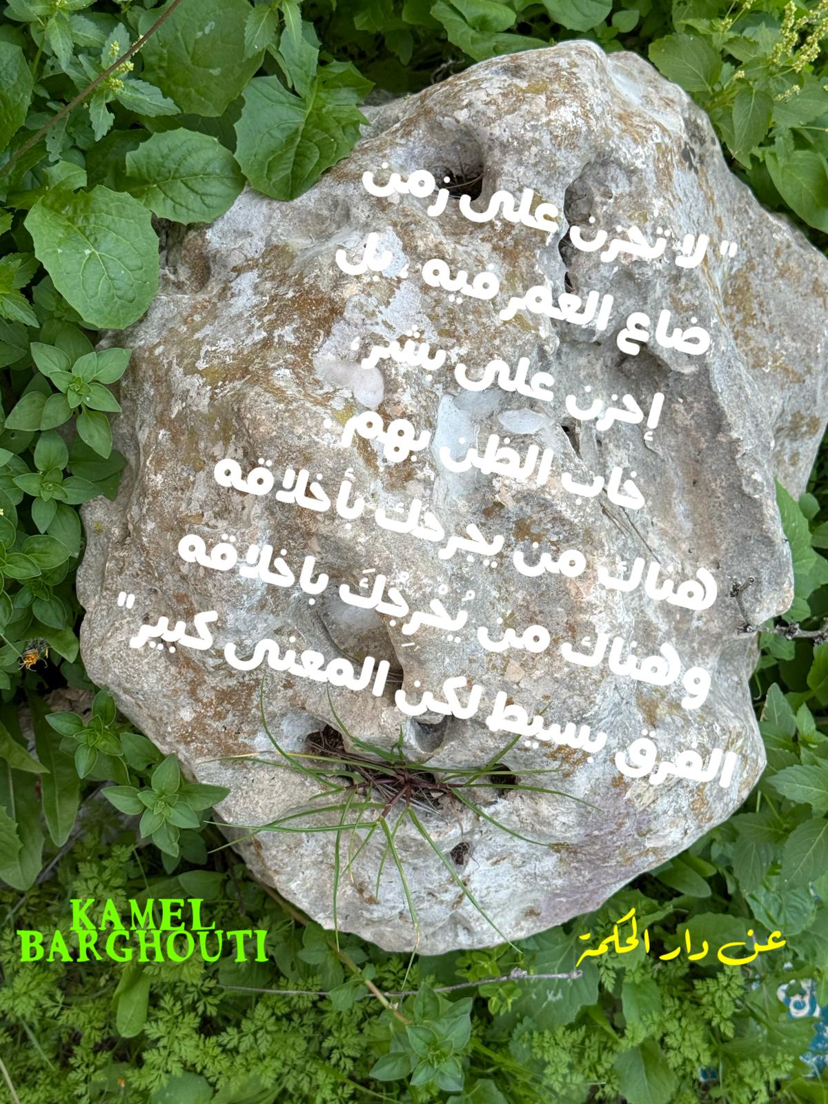 حكمة – اقتباس 230
