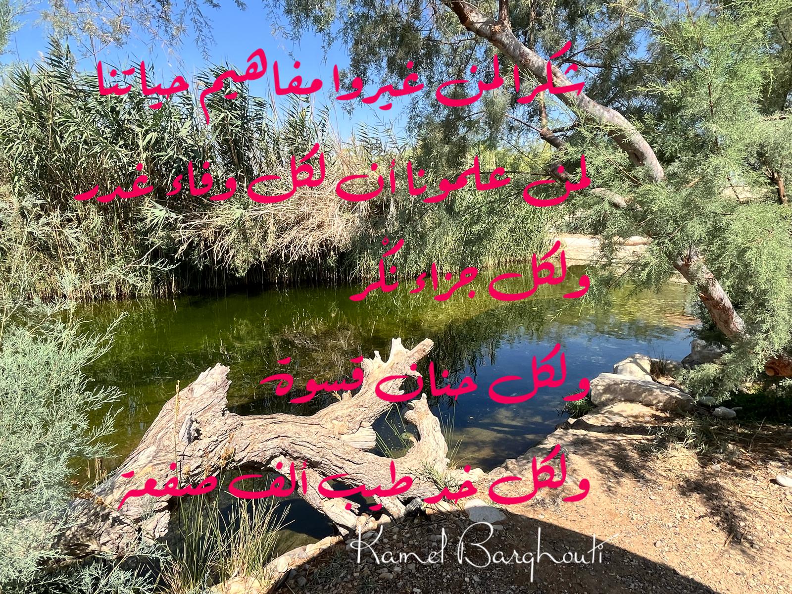 حكمة – اقتباس 228