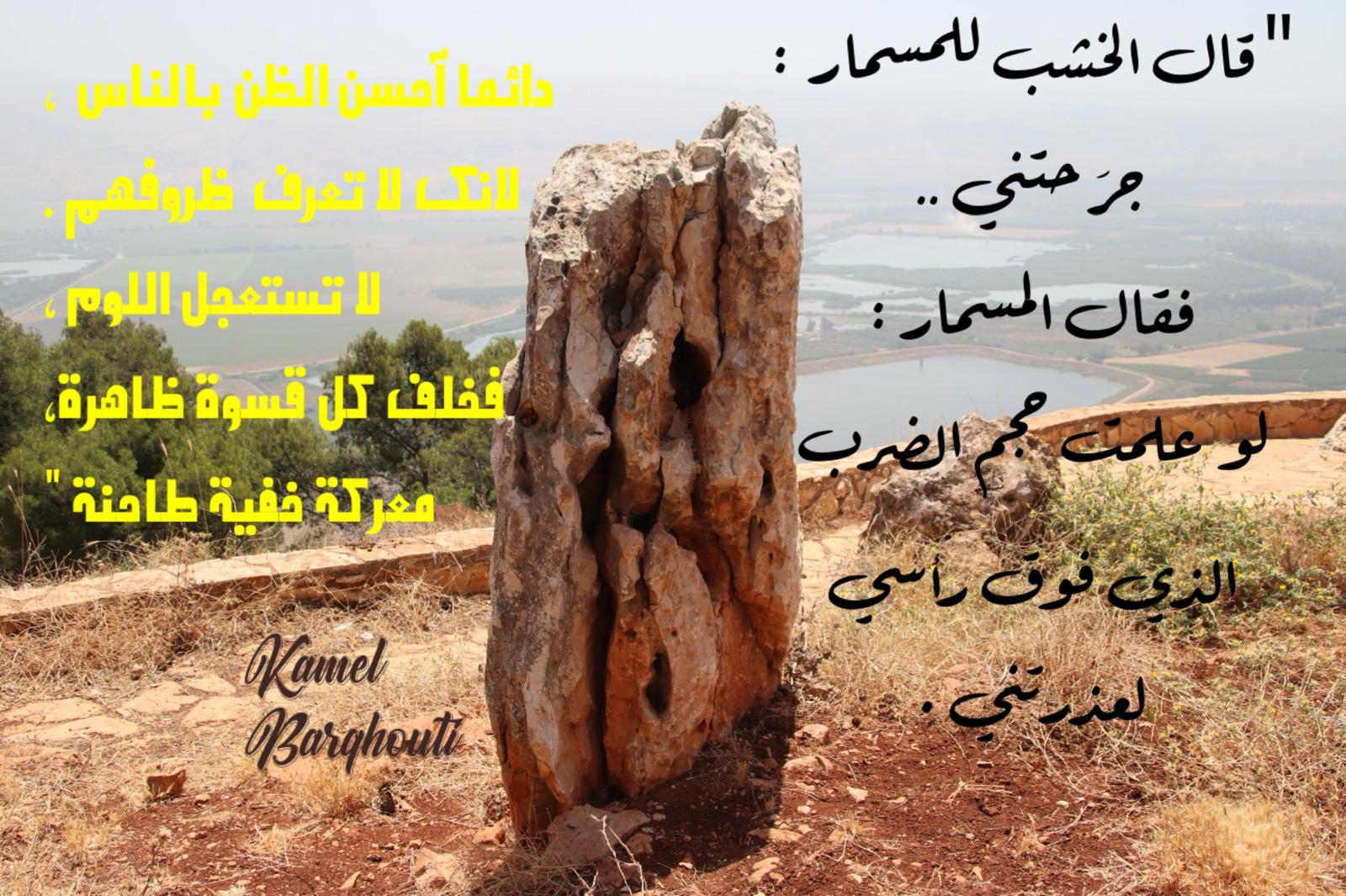 حكمة – اقتباس 236