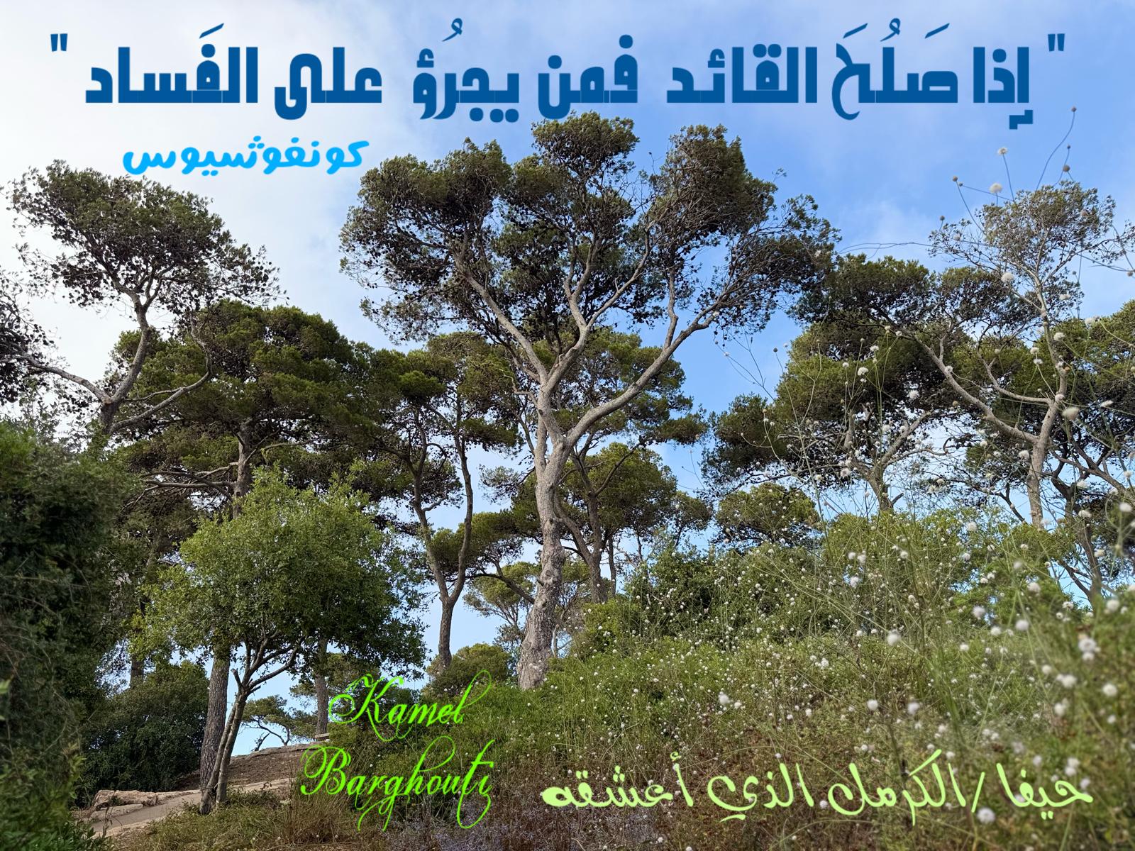 حكمة – اقتباس 217