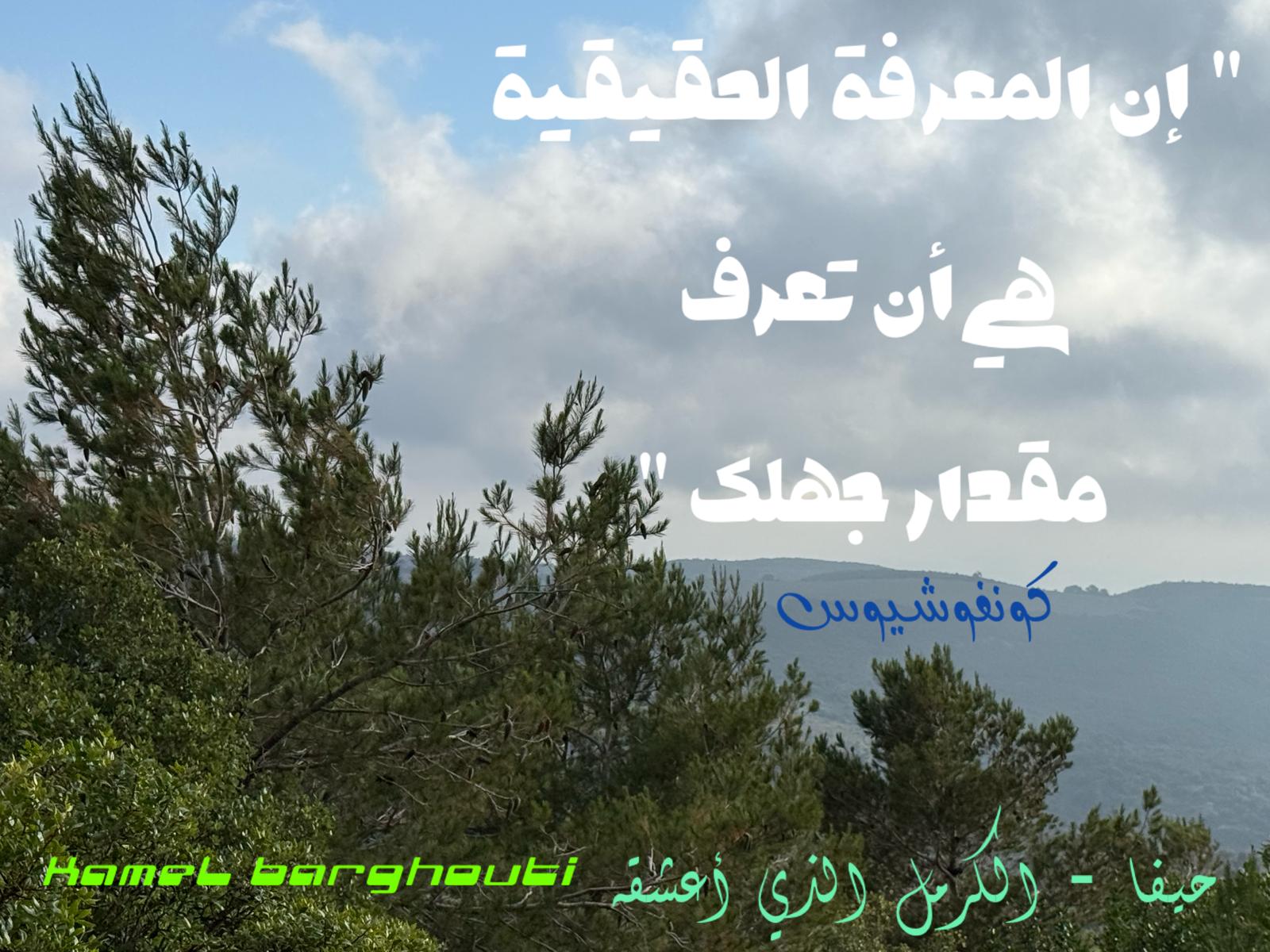 حكمة – اقتباس 219