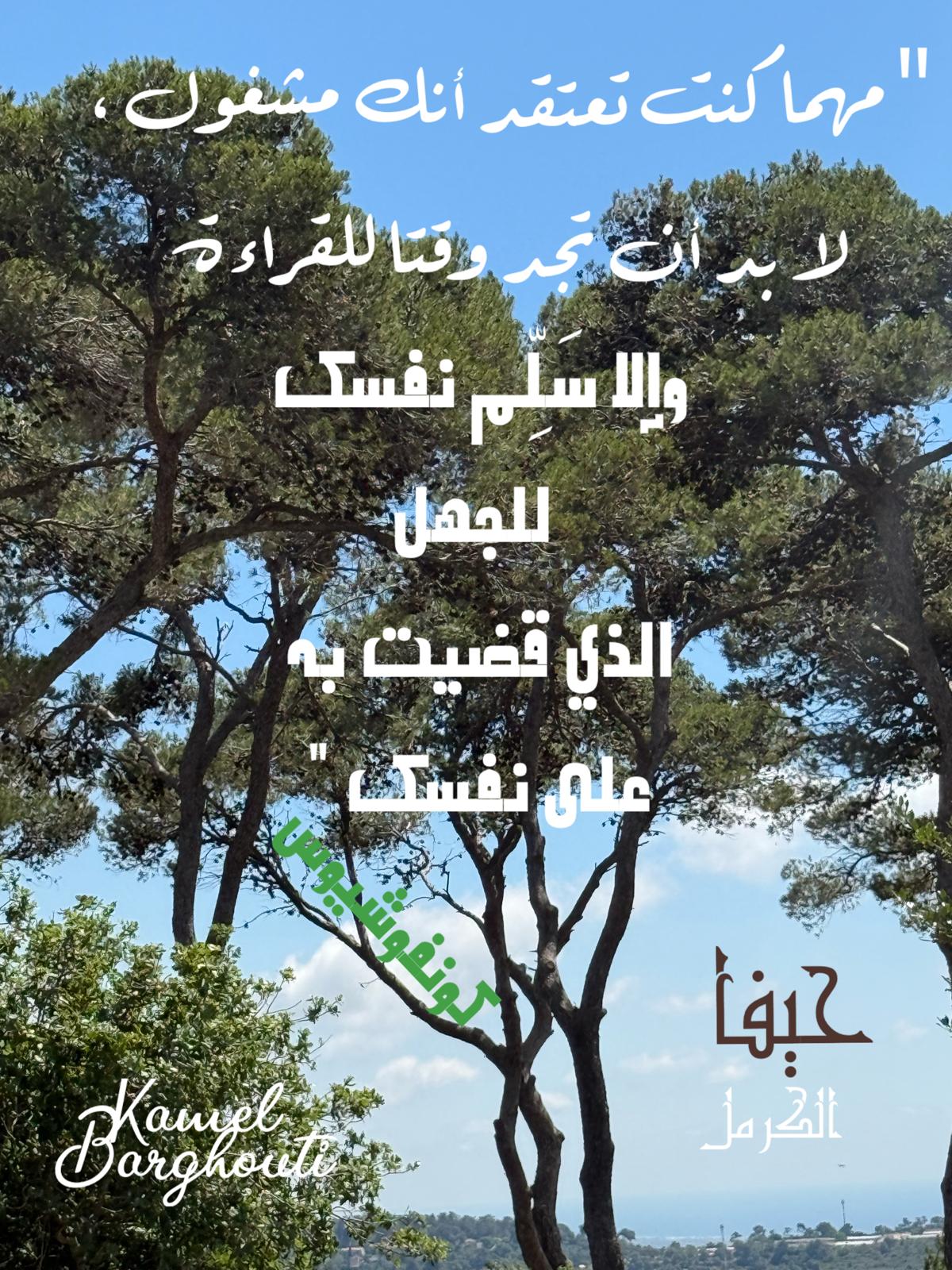 حكمة – اقتباس 221