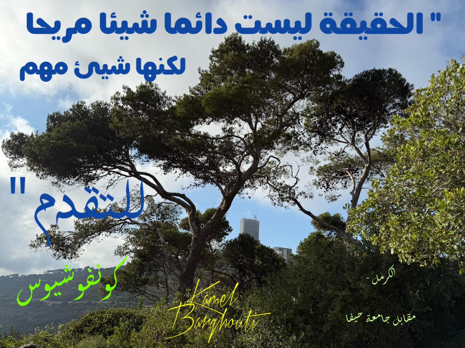 حكمة – اقتباس 218