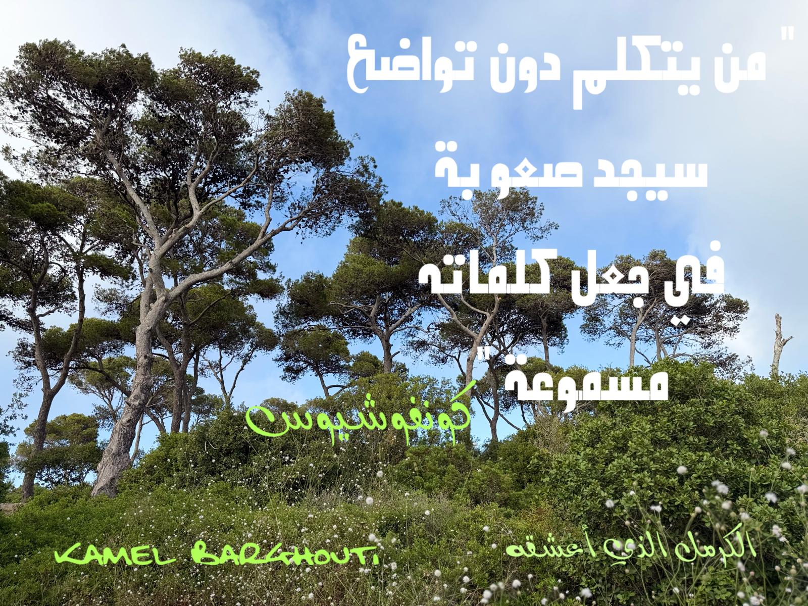 حكمة – اقتباس 215
