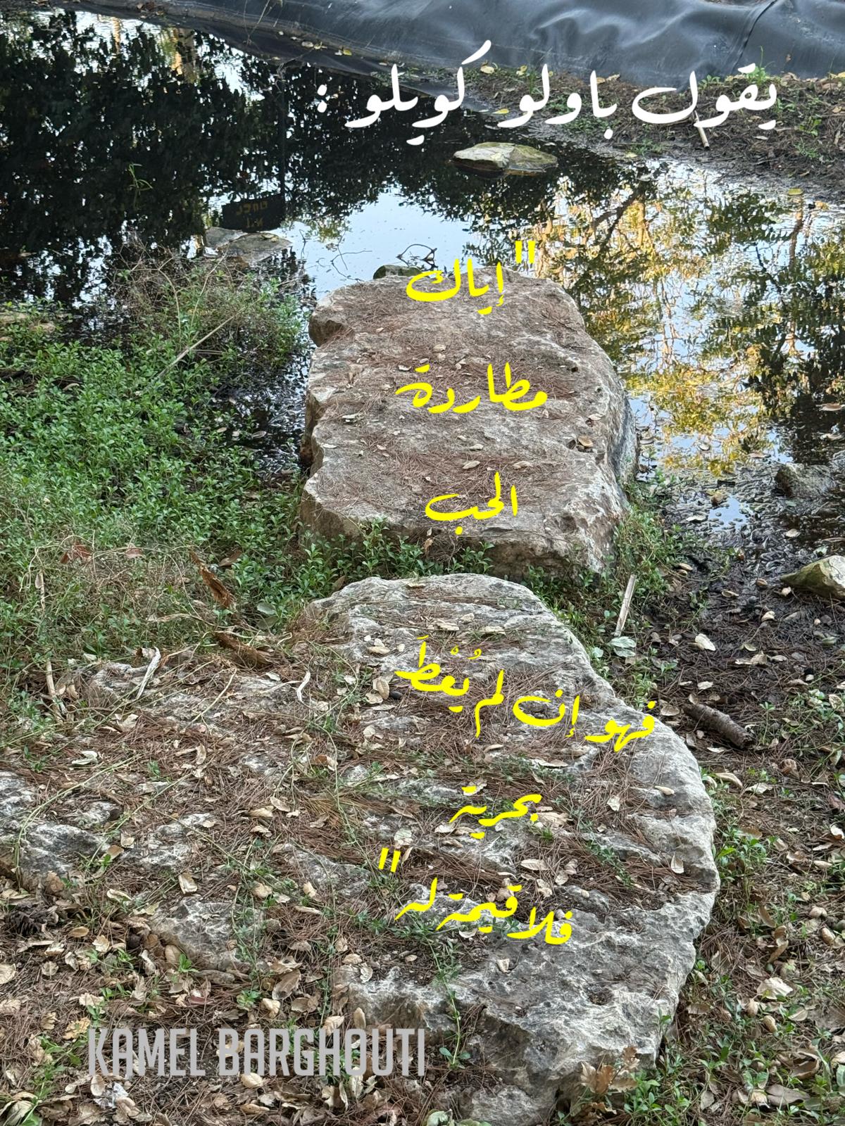 حكمة – اقتباس 203