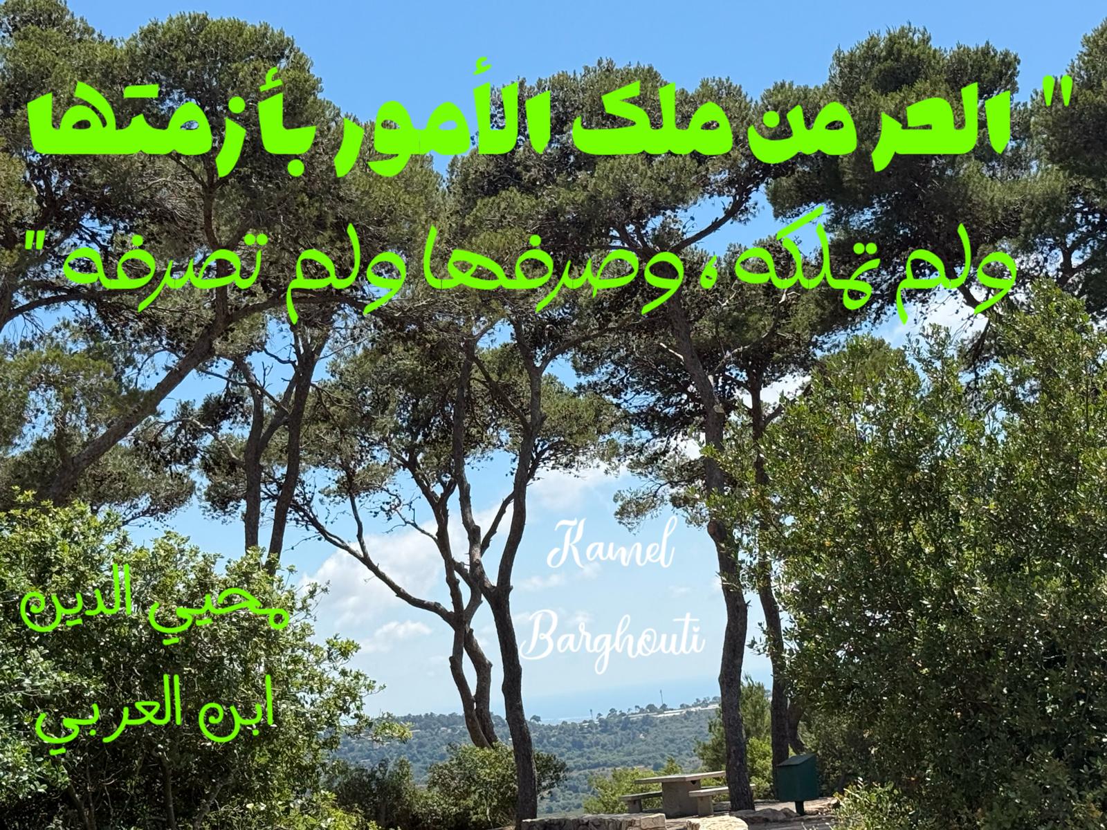حكمة – اقتباس 204