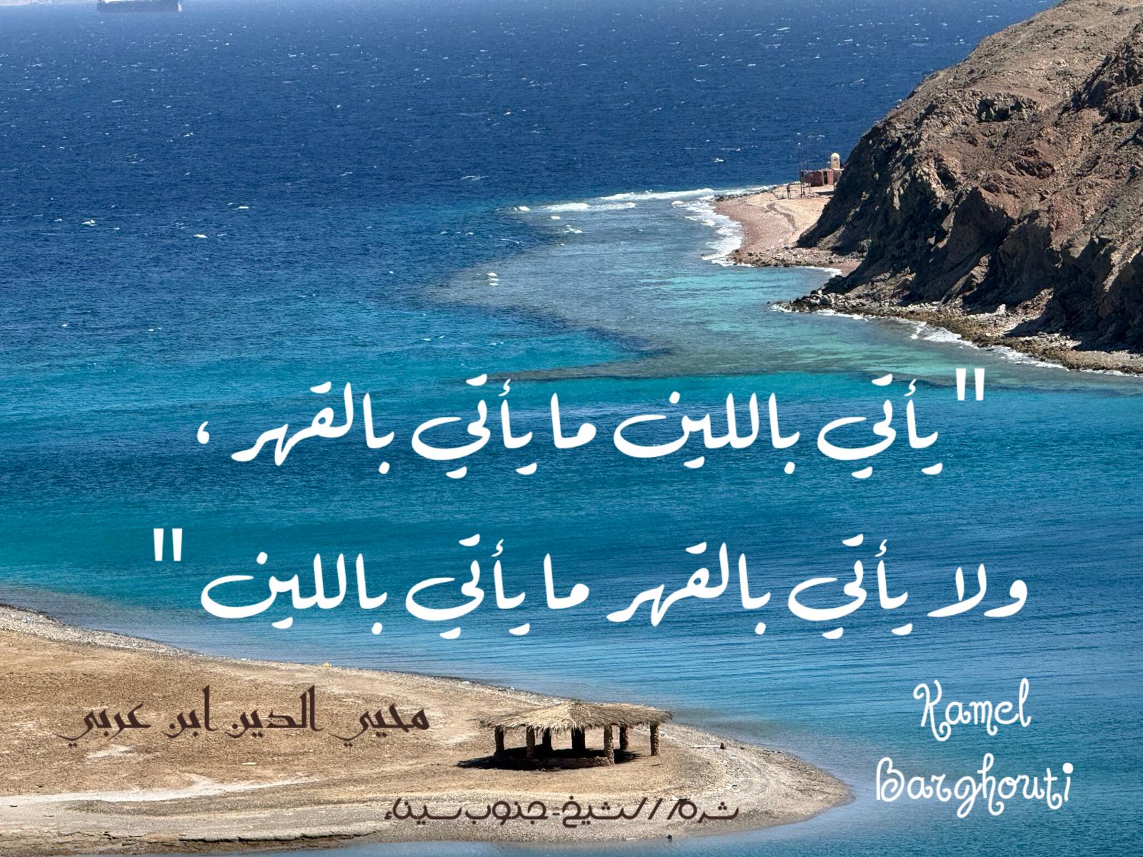 حكمة – اقتباس 198