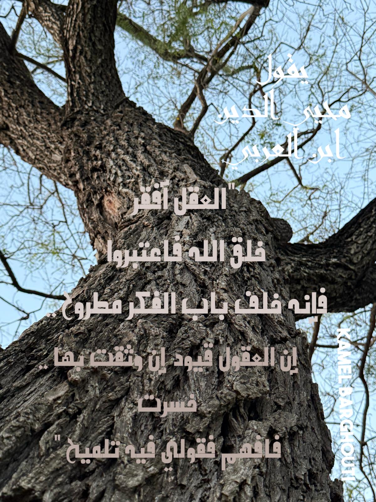 حكمة – اقتباس 191