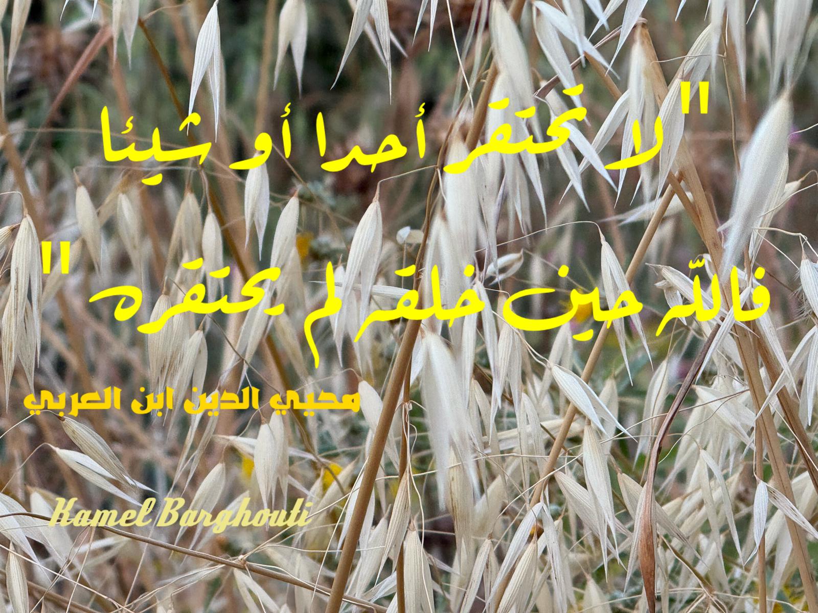 حكمة – اقتباس 192