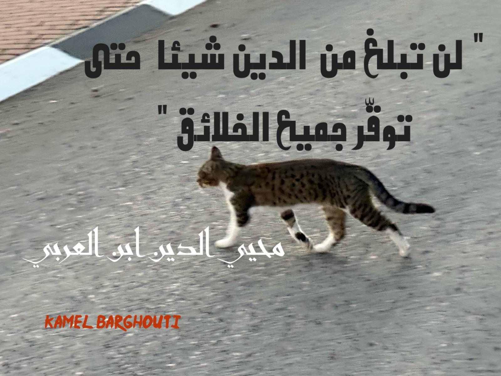 حكمة – اقتباس 193