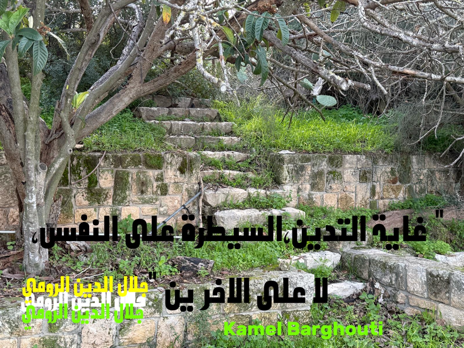 حكمة – اقتباس 202