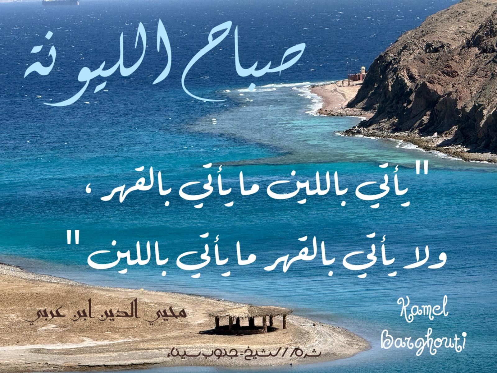 حكمة – اقتباس 179