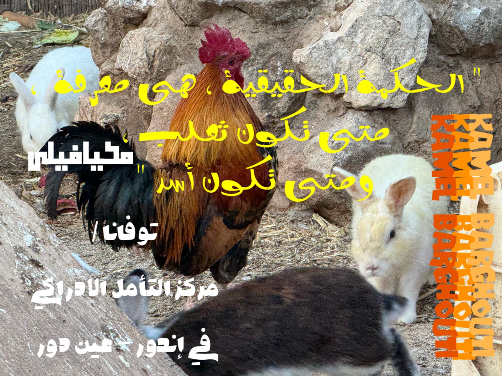 حكمة – اقتباس 184