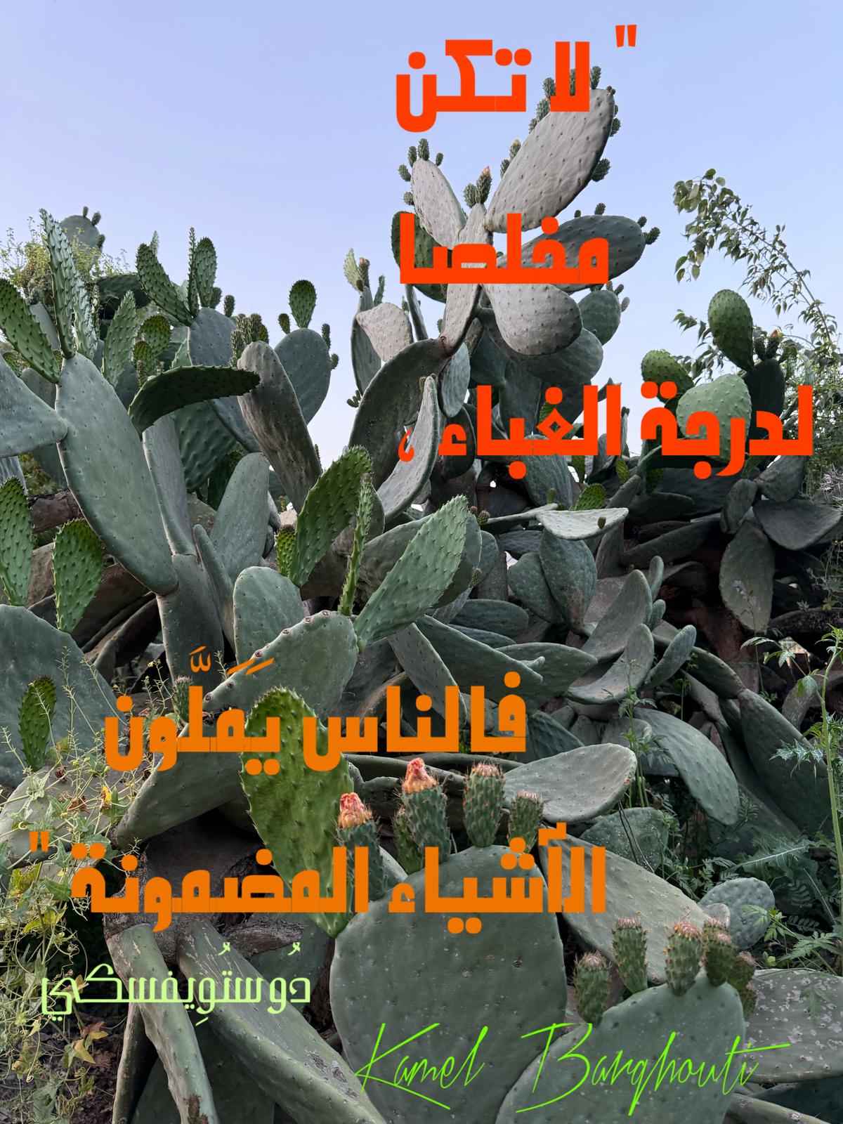 حكمة – اقتباس 189