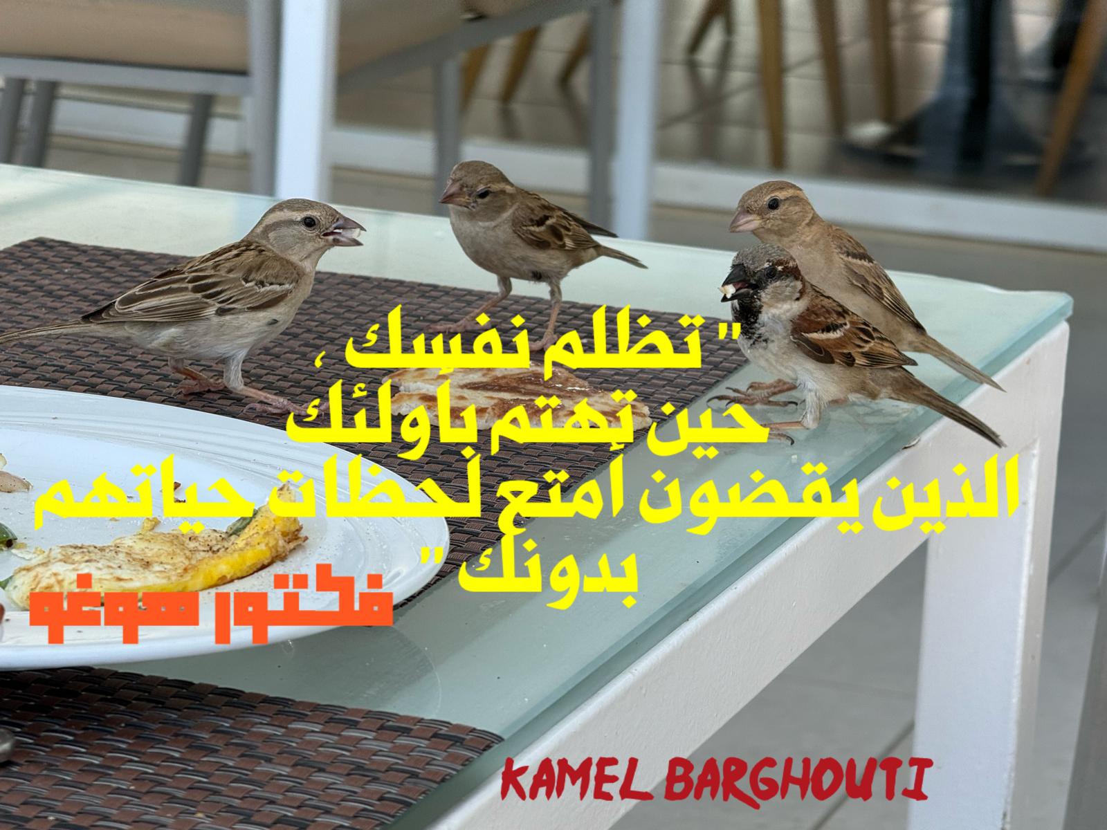 حكمة – اقتباس 188