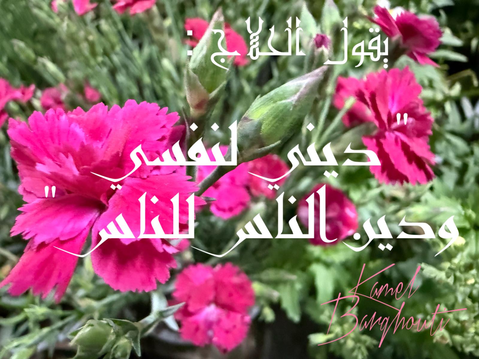 حكمة – اقتباس 178