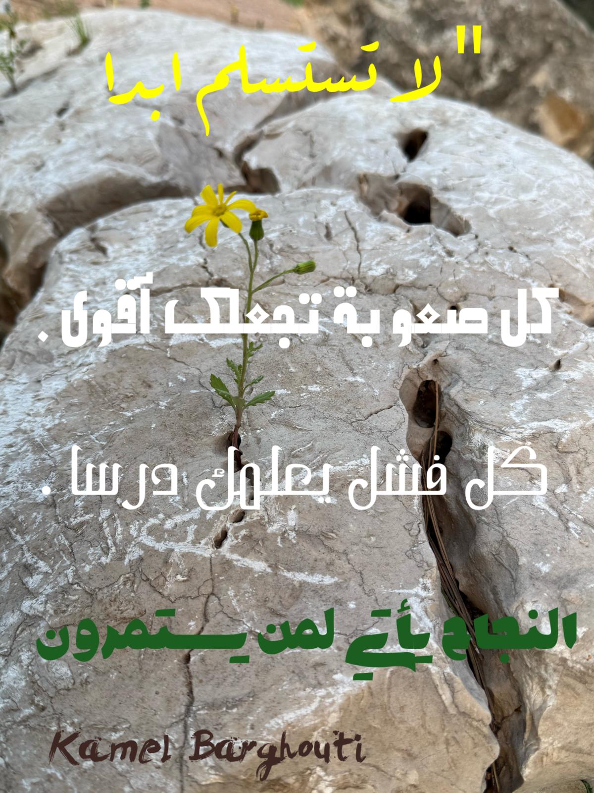 العزيمة والإصرار والثقة بالنفس – اقتباس 270