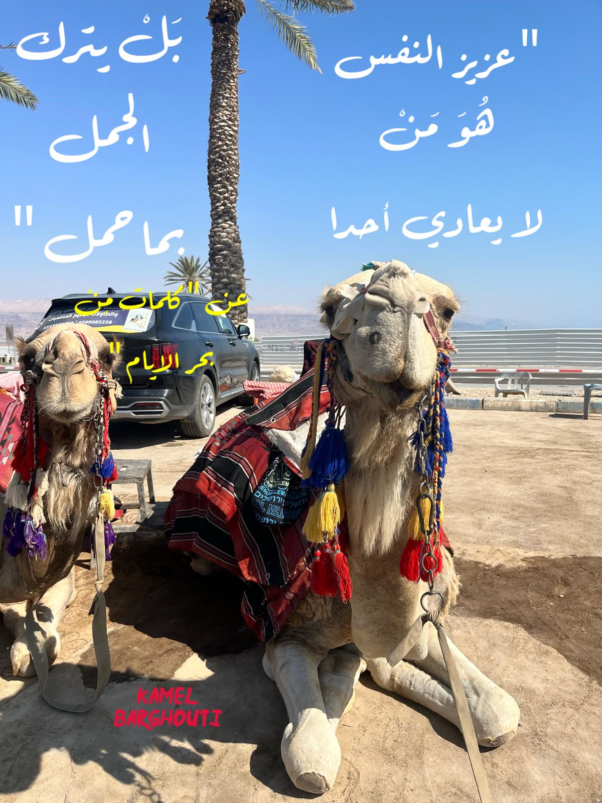 عزة النفس – اقتباس 3