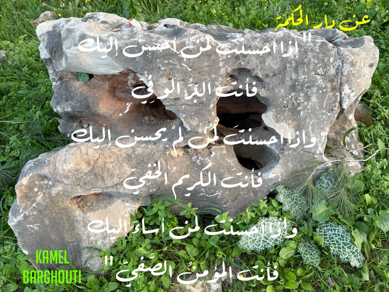 كلام جميل – اقتباس 519