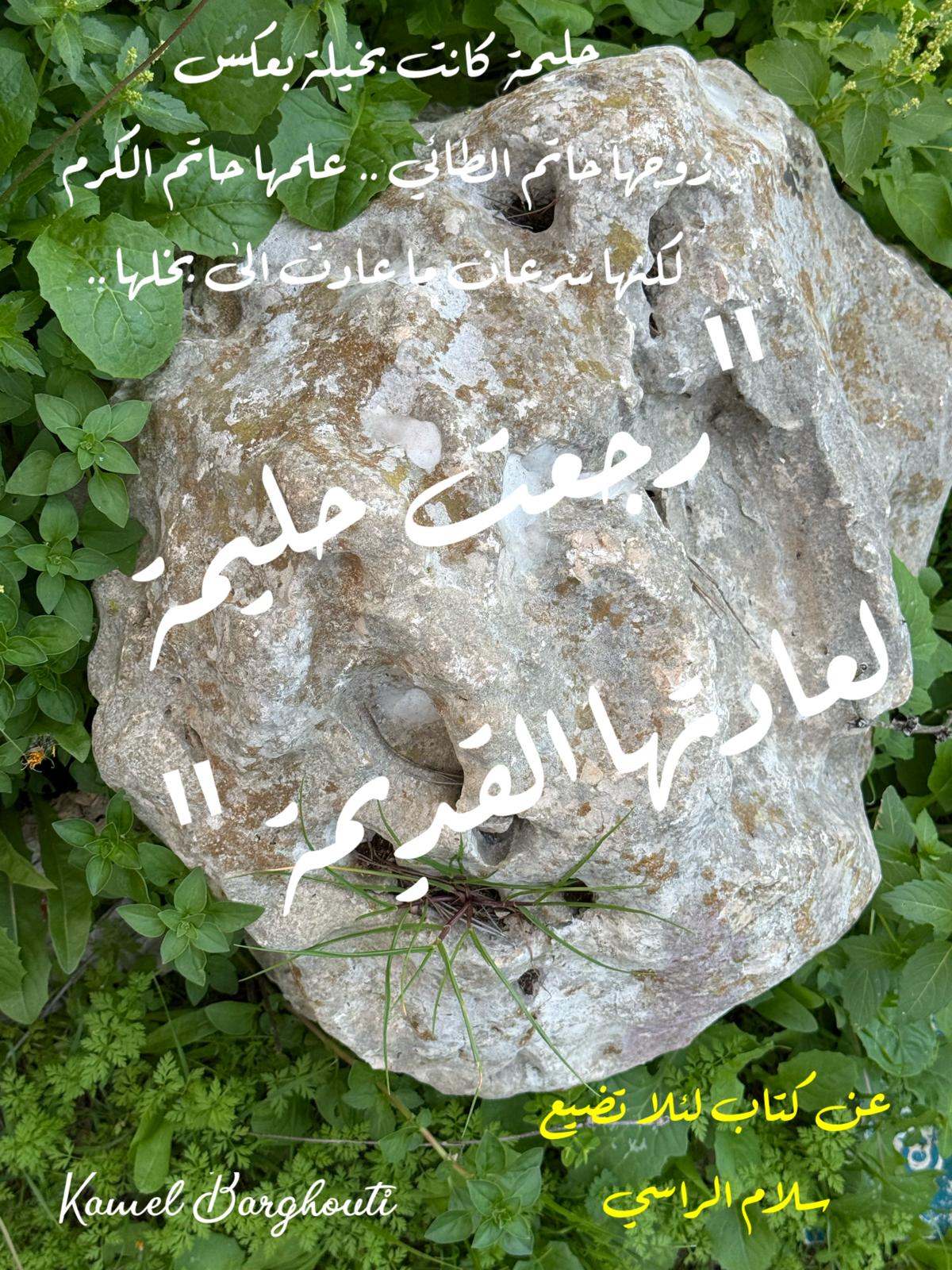أمثال محلية – اقتباس 107