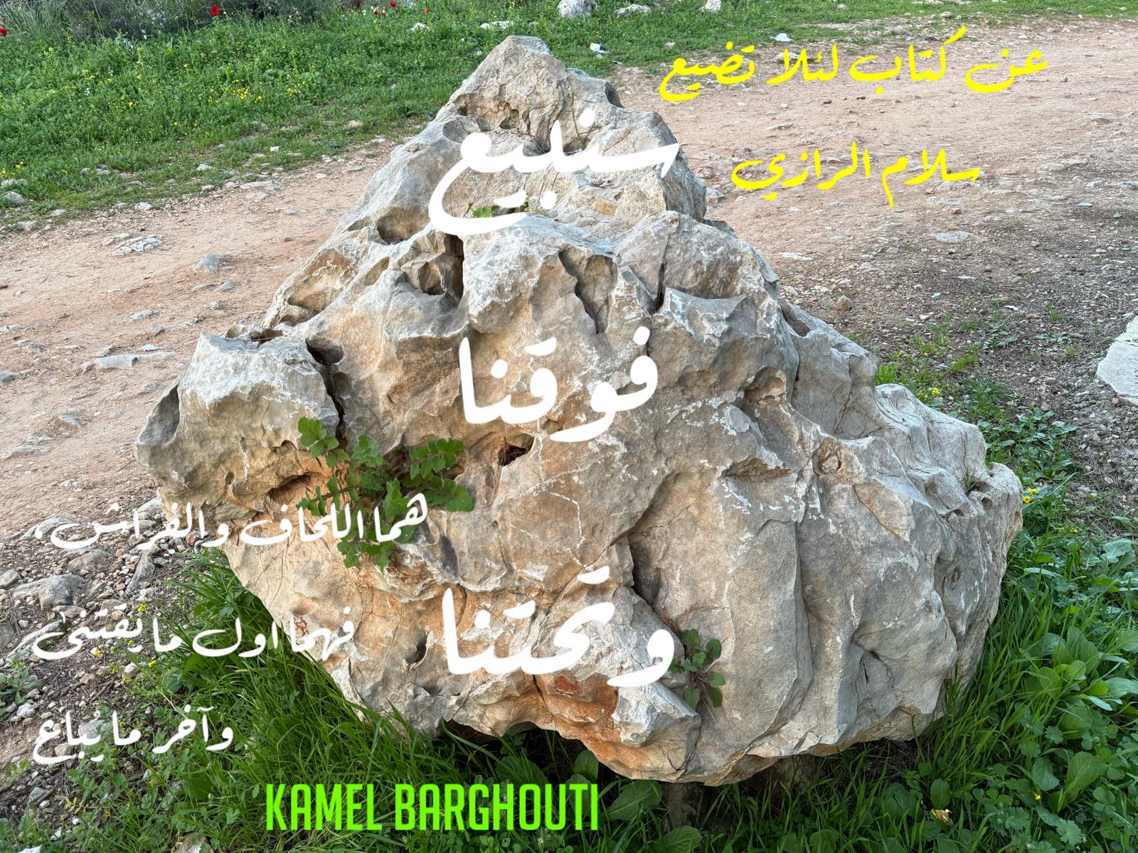 أمثال محلية – اقتباس 106