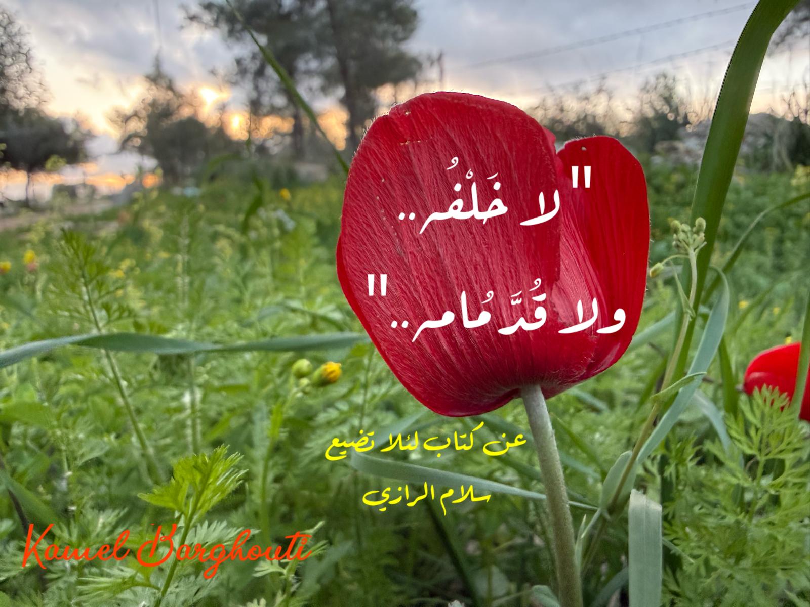 أمثال محلية – اقتباس 104