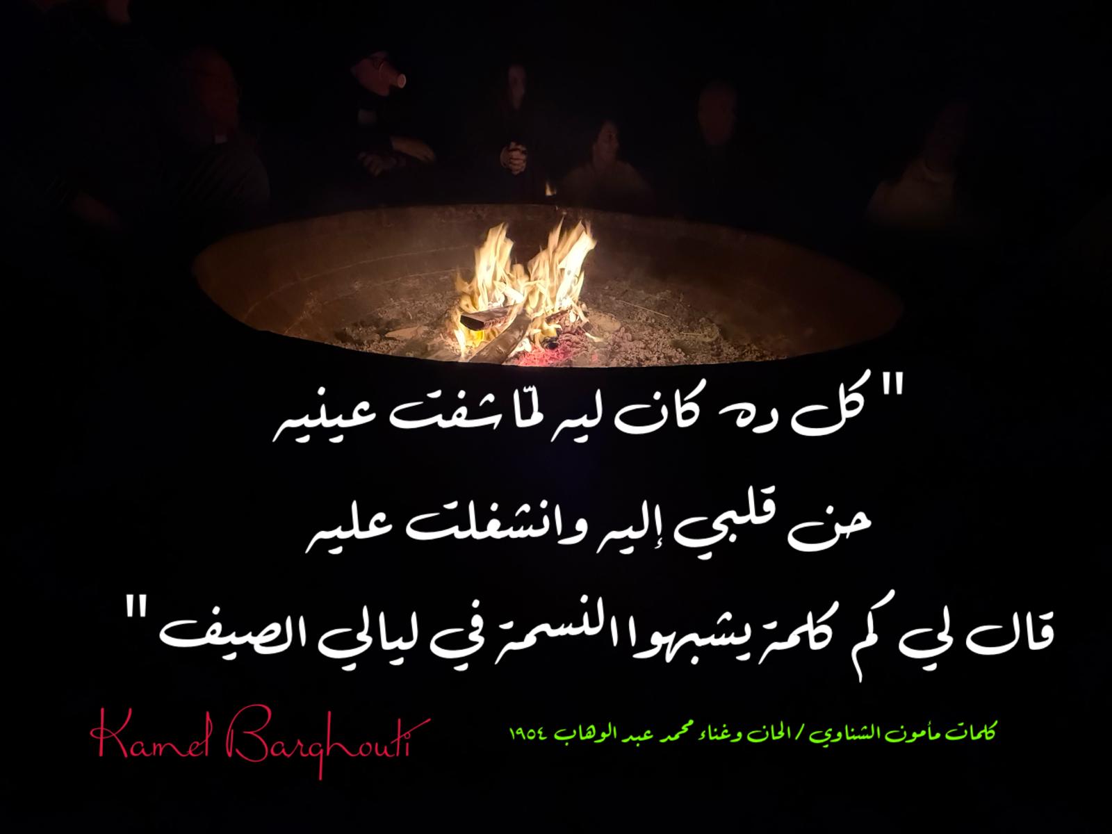 حب وحنين – اقتباس 502