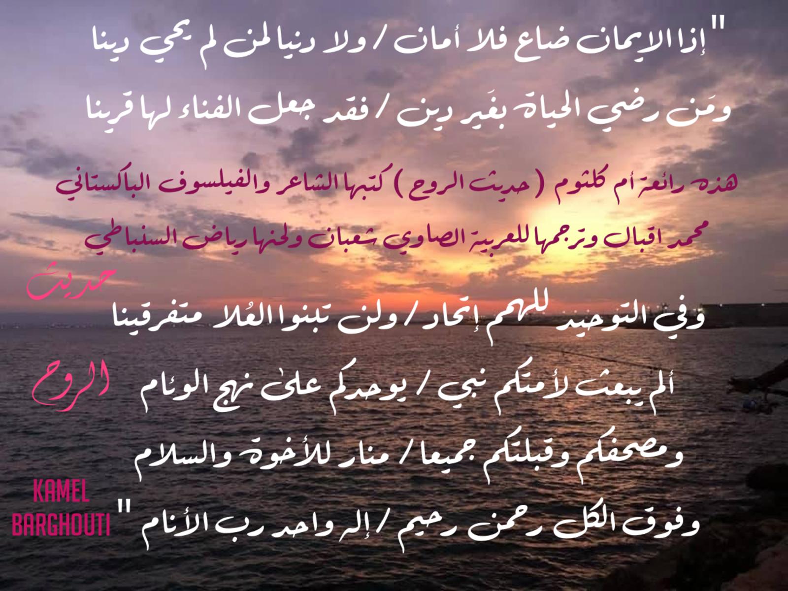 كلام جميل – اقتباس 513