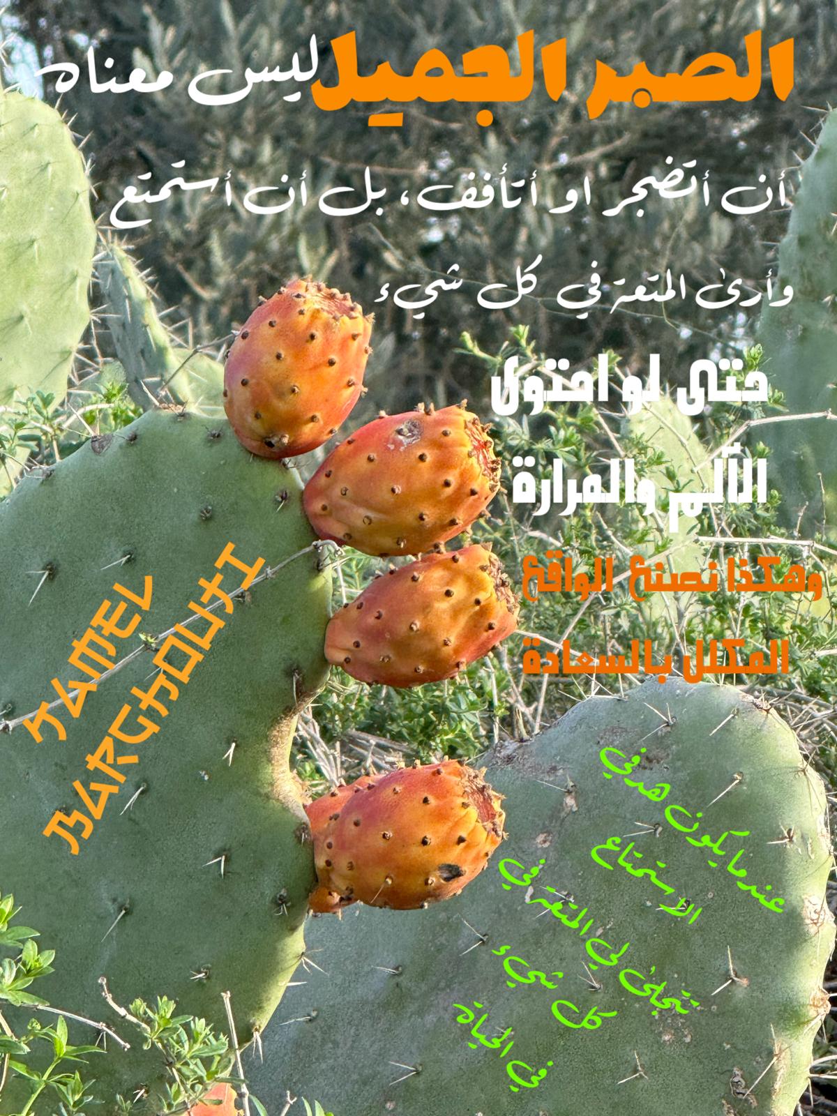 القناعة والصبر – اقتباس 165