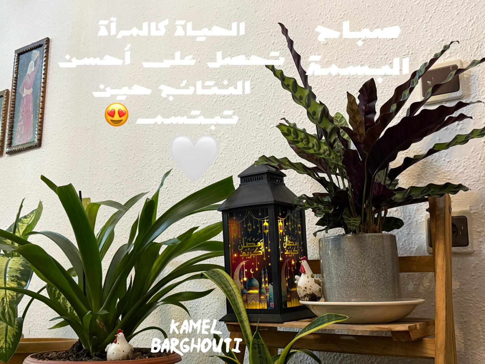 حكمة – اقتباس 172