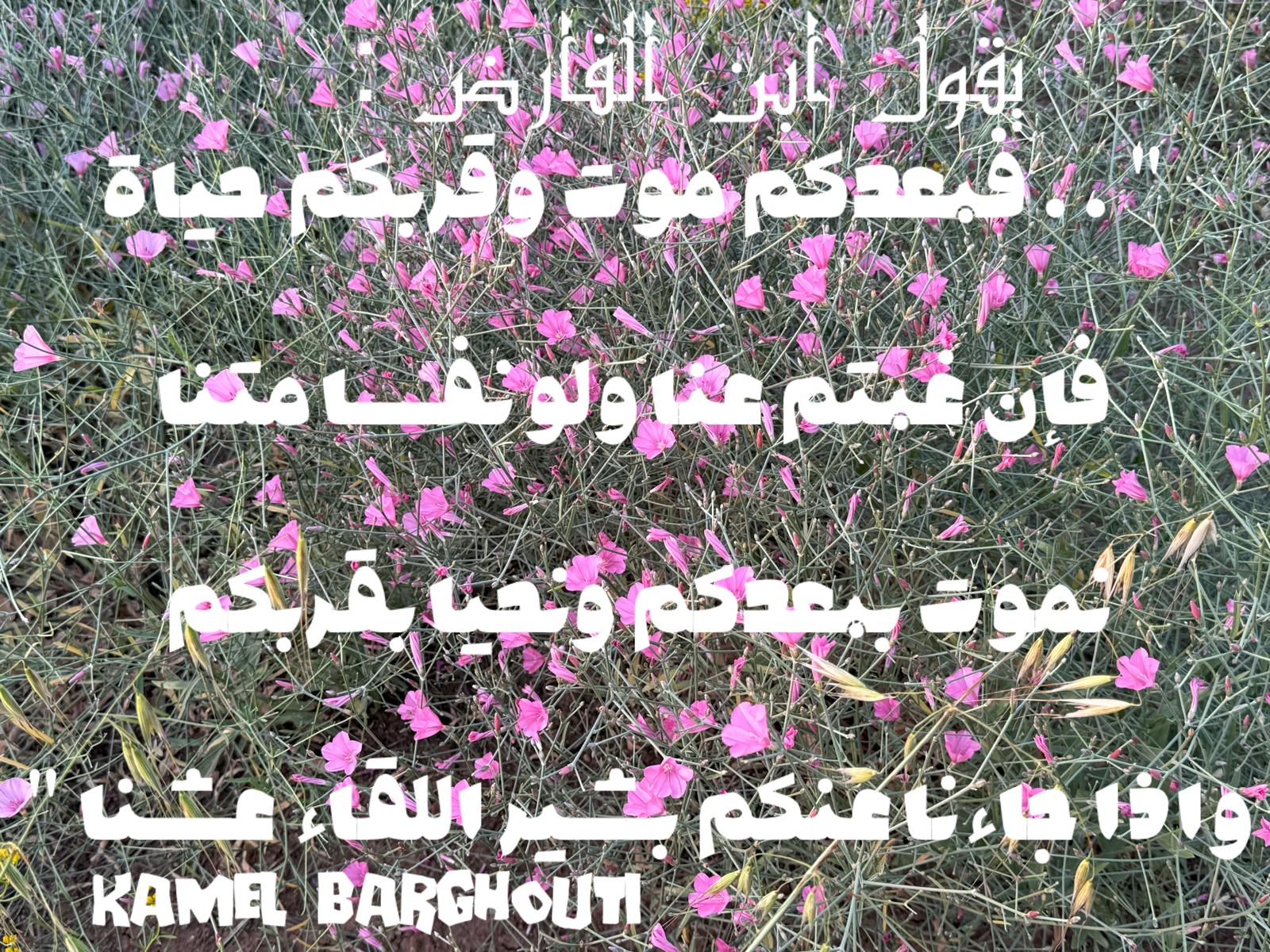 حب وحنين – اقتباس 490
