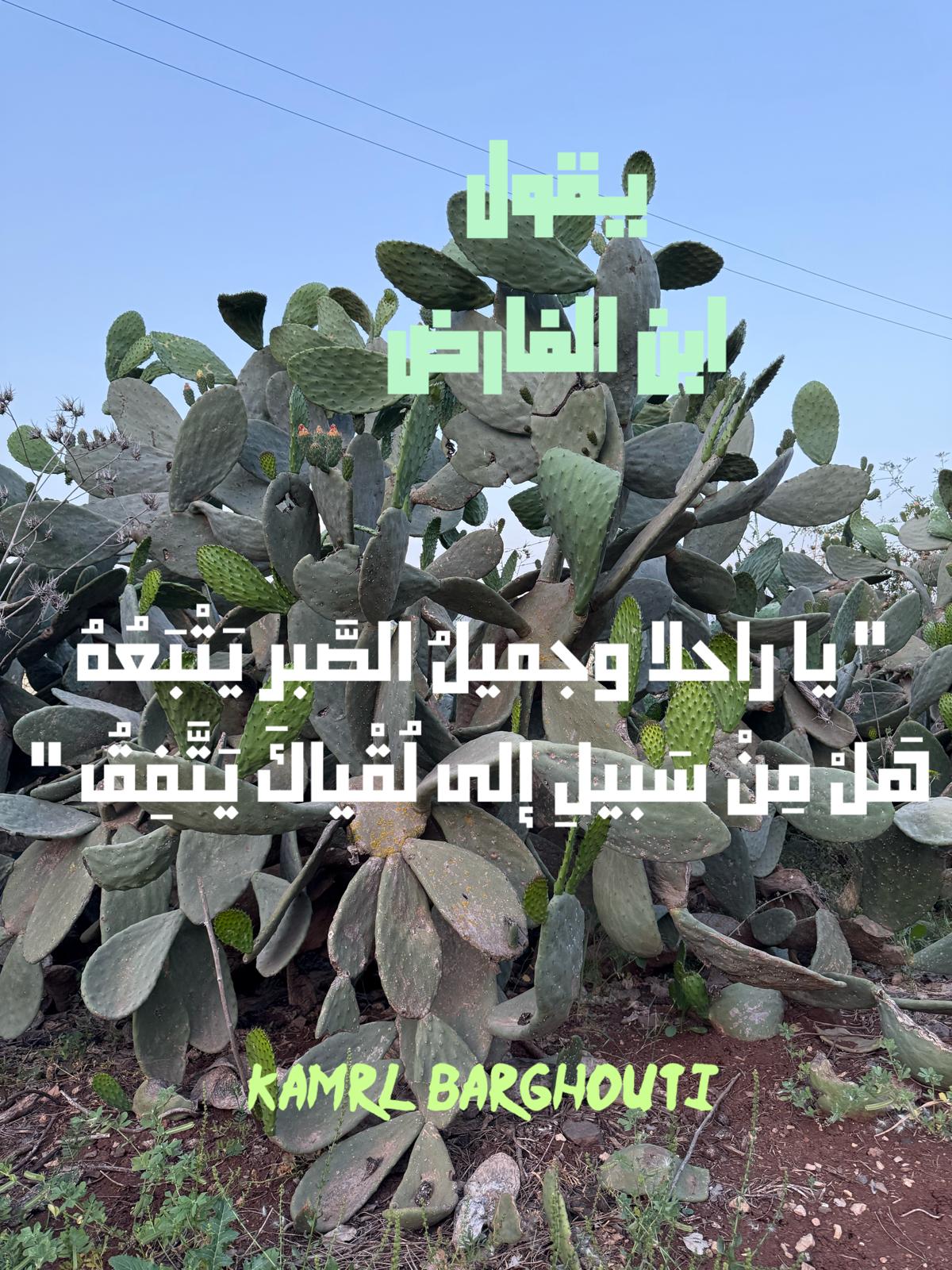 حب وحنين – اقتباس 493