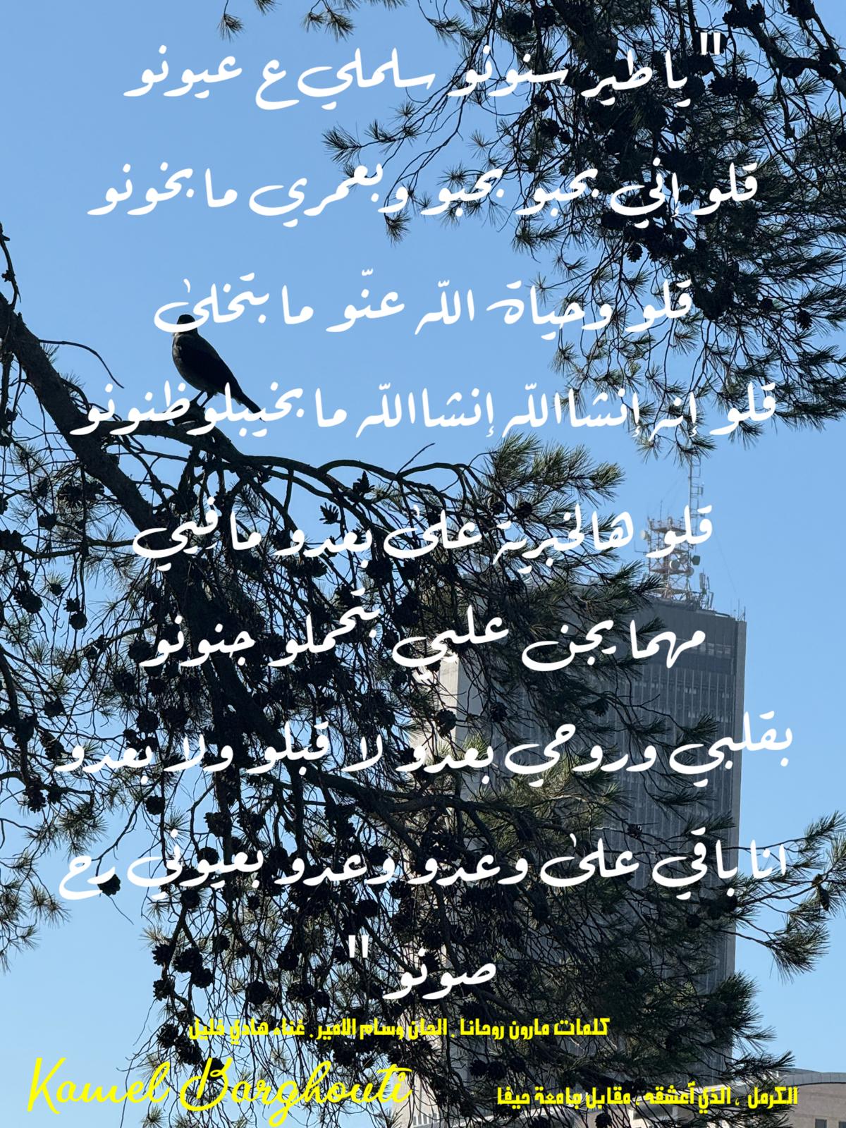 حب وحنين – اقتباس 499