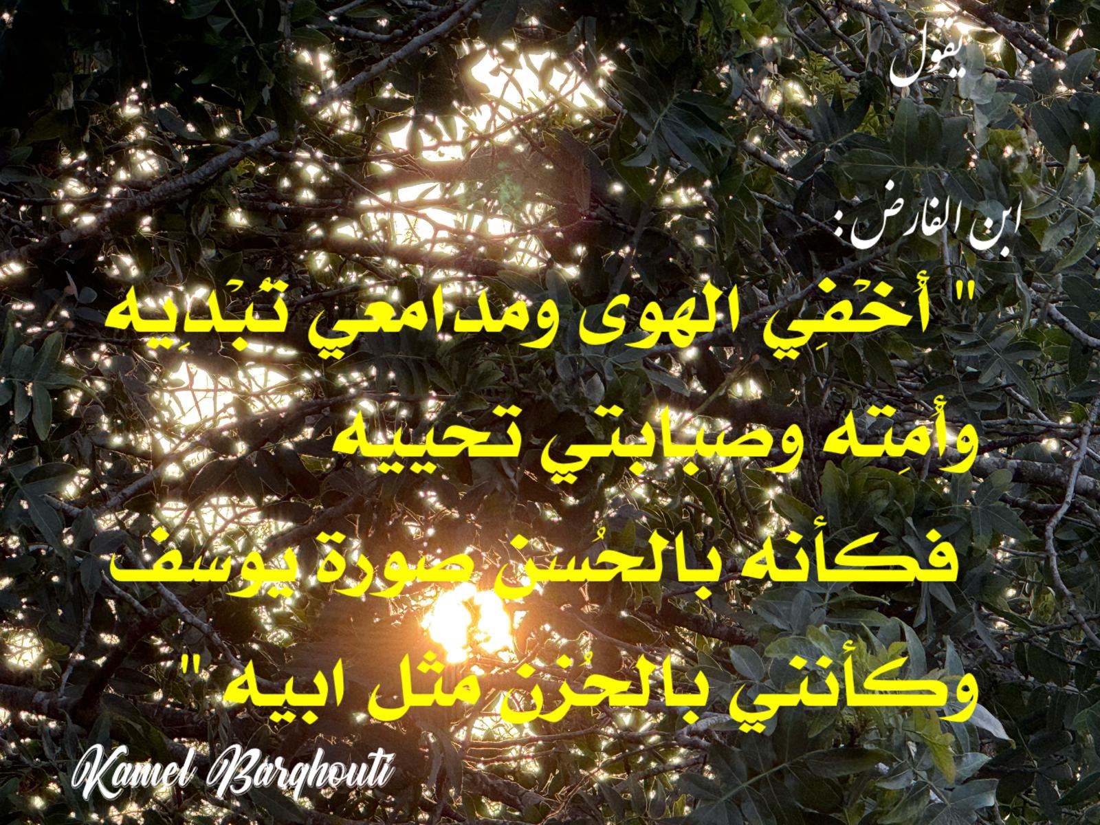 حب وحنين – اقتباس 498