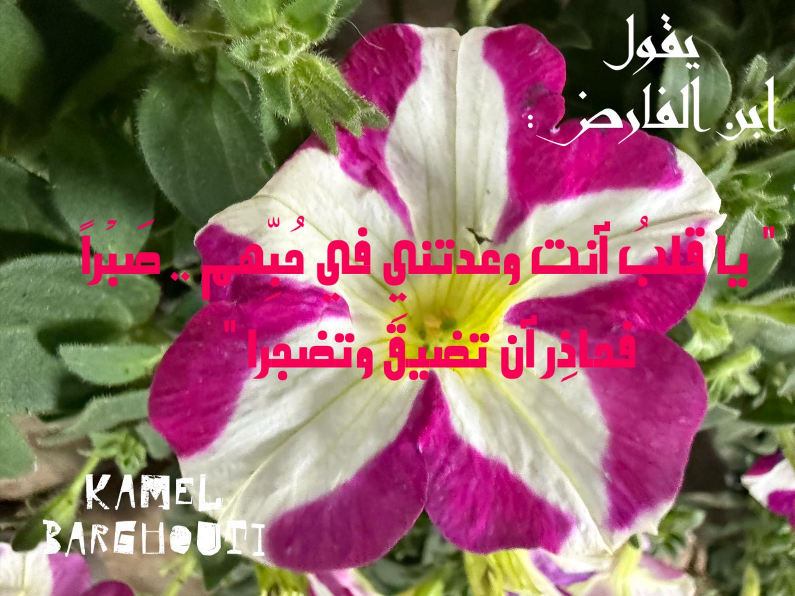 حب وحنين – اقتباس 492