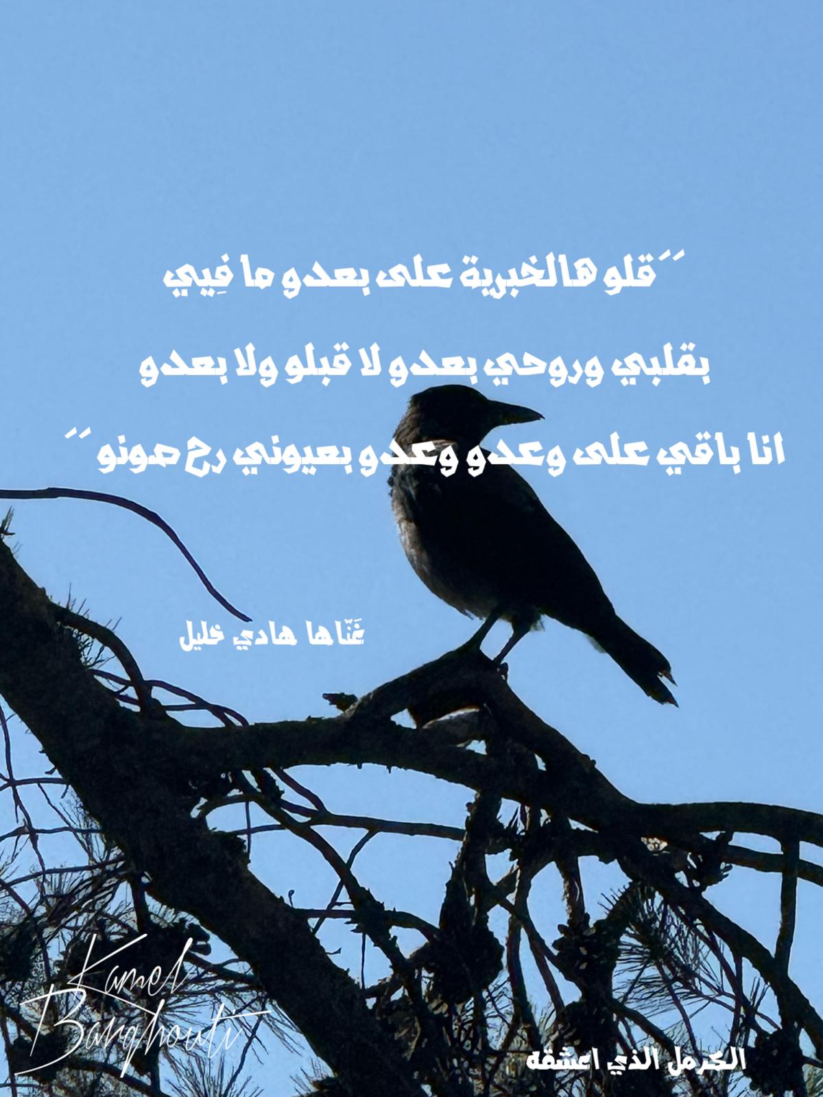 حب وحنين – اقتباس 500