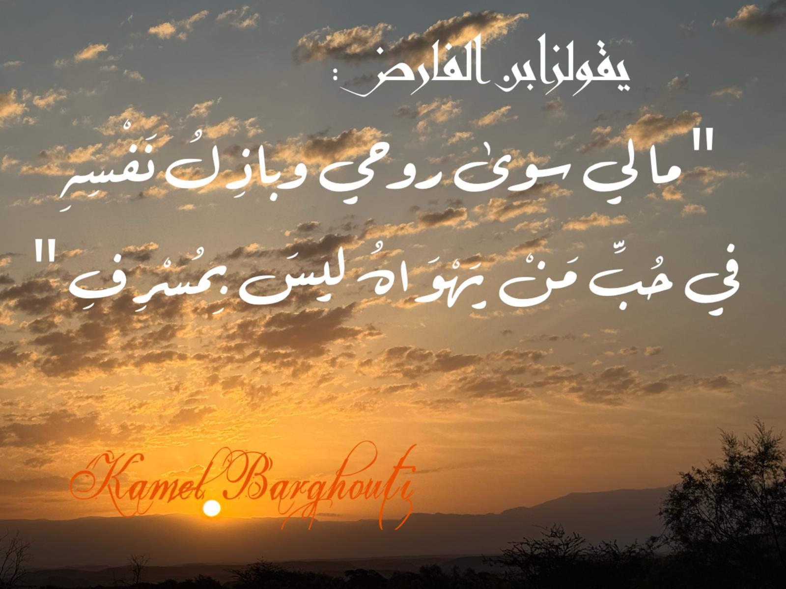 حب وحنين – اقتباس 497