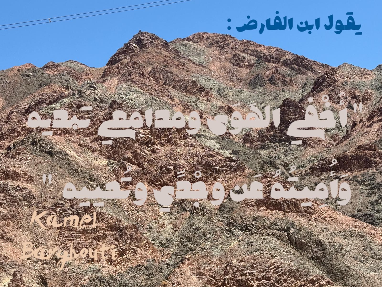 حب وحنين – اقتباس 496