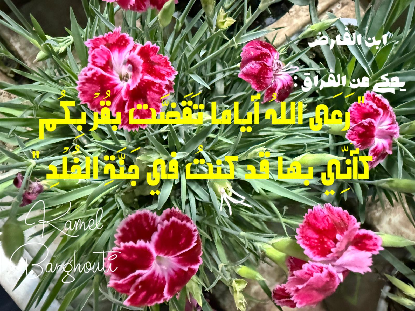 حب وحنين – اقتباس 488