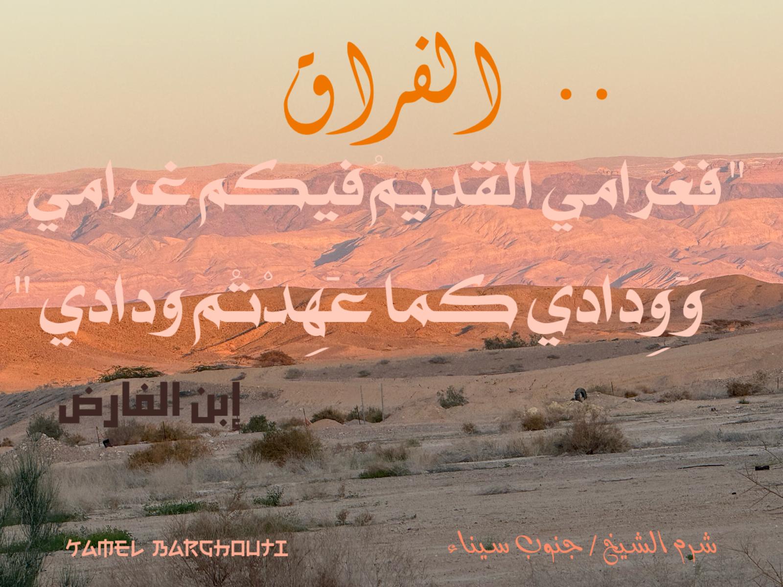 حب وحنين – اقتباس 478