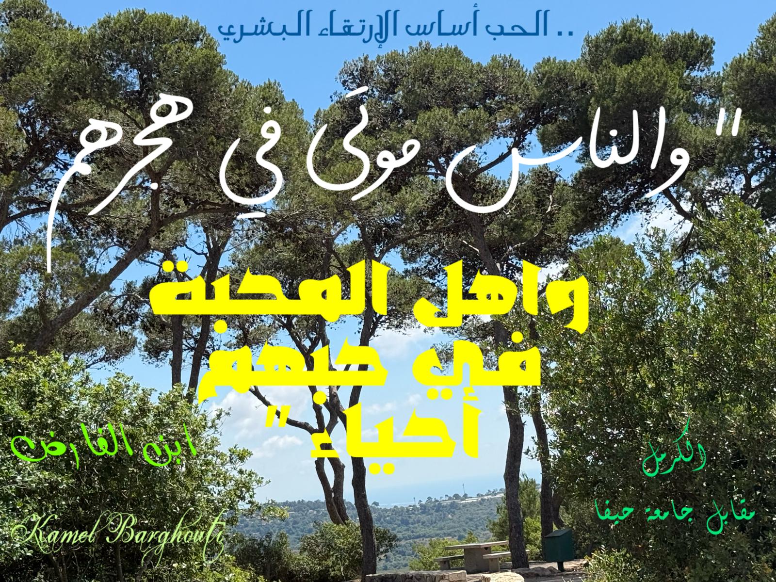 حب وحنين – اقتباس 481