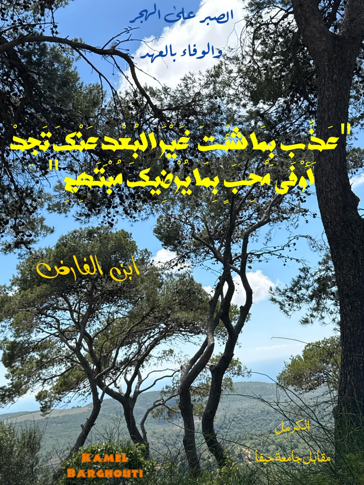 حب وحنين – اقتباس 483