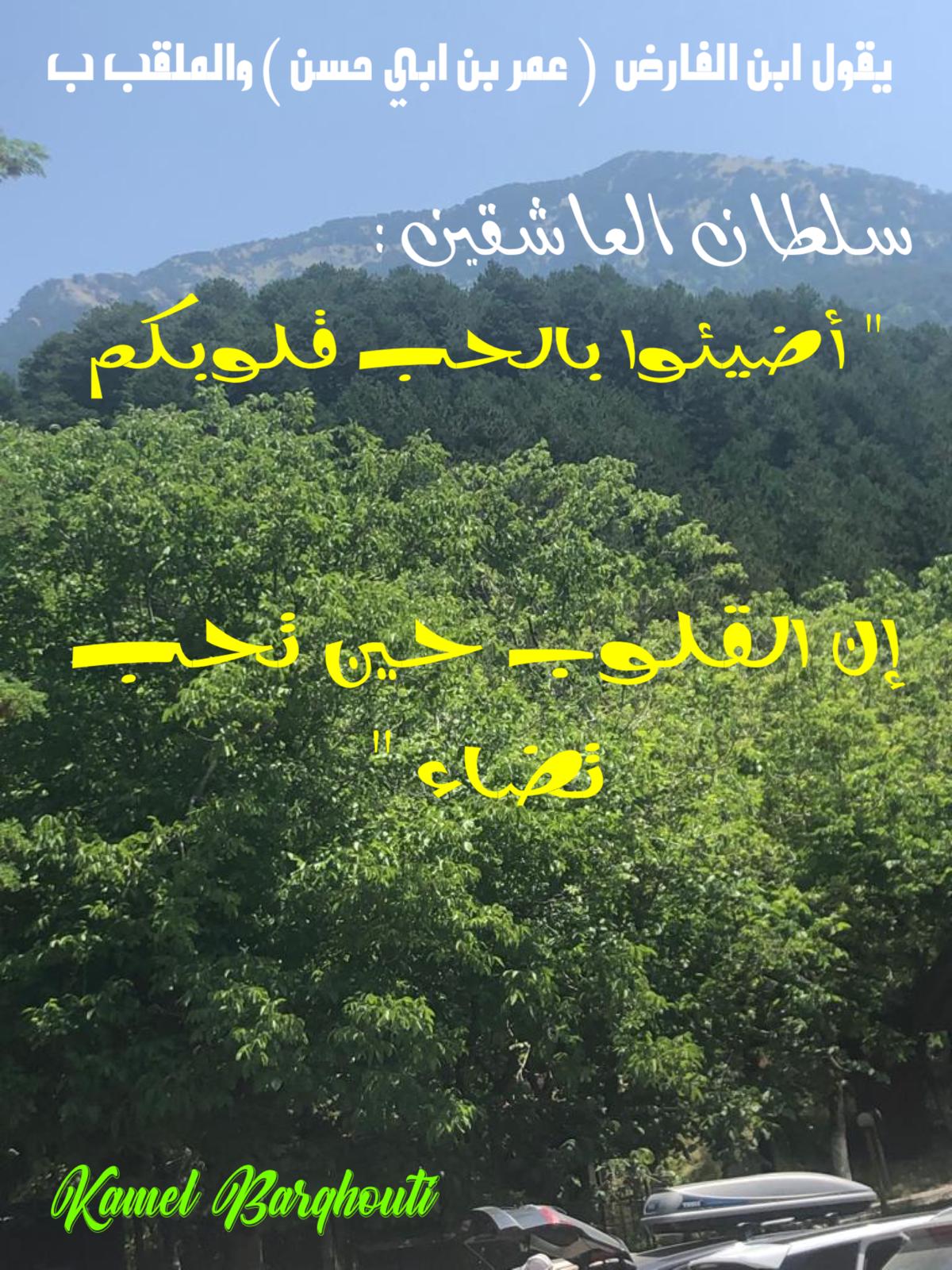 حب وحنين – اقتباس 475