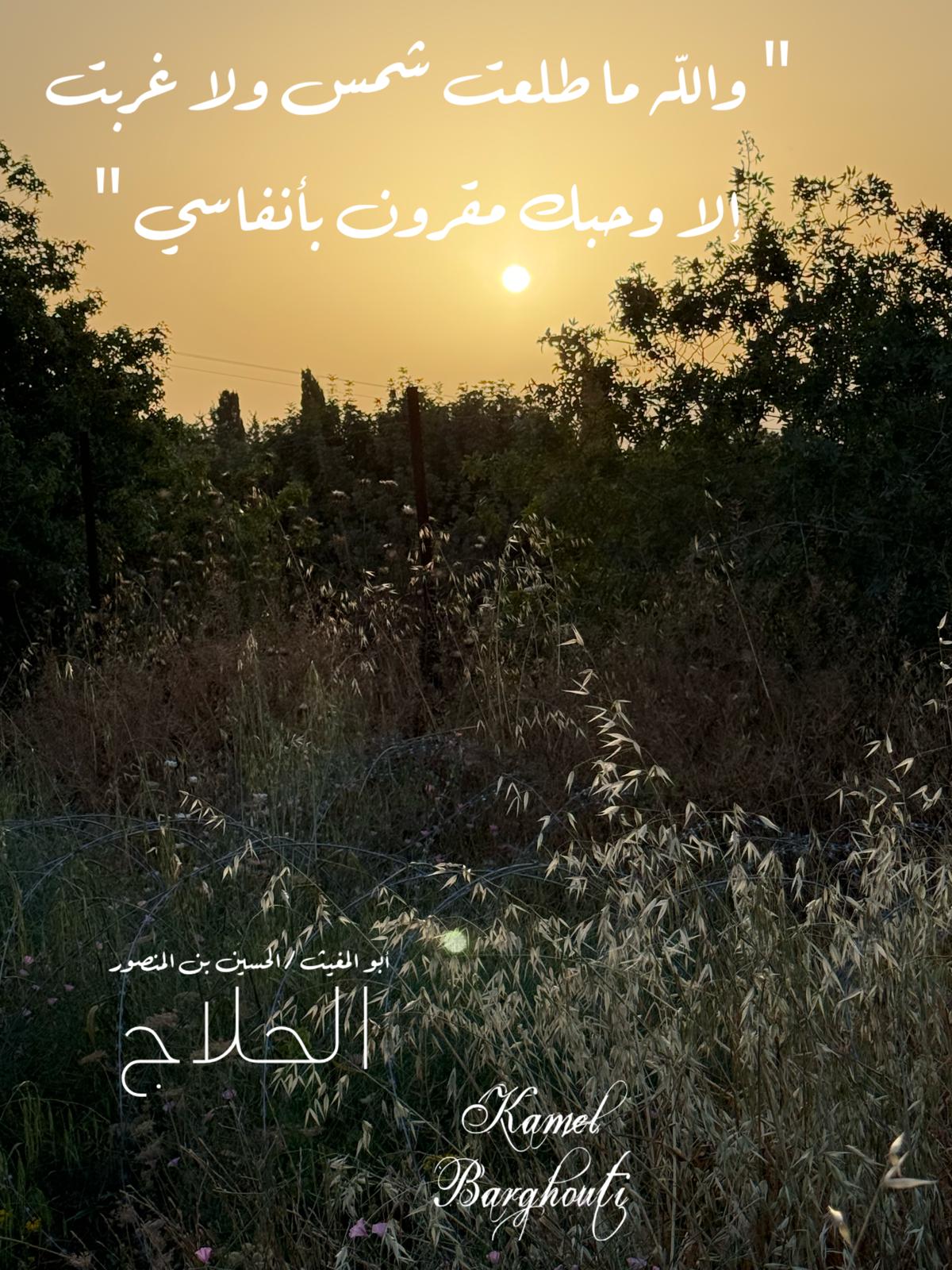 حب وحنين – اقتباس 471